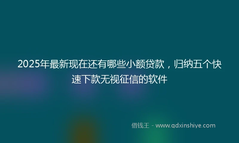 2025年最新现在还有哪些小额贷款，归纳五个快速下款无视征信的软件
