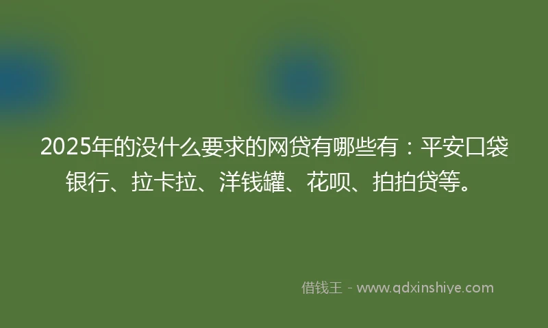 2025年的没什么要求的网贷有哪些有：平安口袋银行、拉卡拉、洋钱罐、花呗、拍拍贷等。