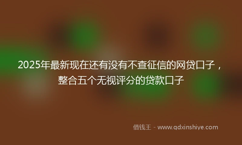 2025年最新现在还有没有不查征信的网贷口子，整合五个无视评分的贷款口子