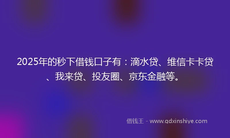 2025年的秒下借钱口子有：滴水贷、维信卡卡贷、我来贷、投友圈、京东金融等。