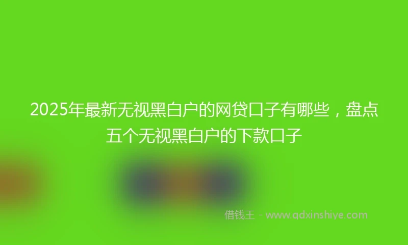 2025年最新无视黑白户的网贷口子有哪些，盘点五个无视黑白户的下款口子