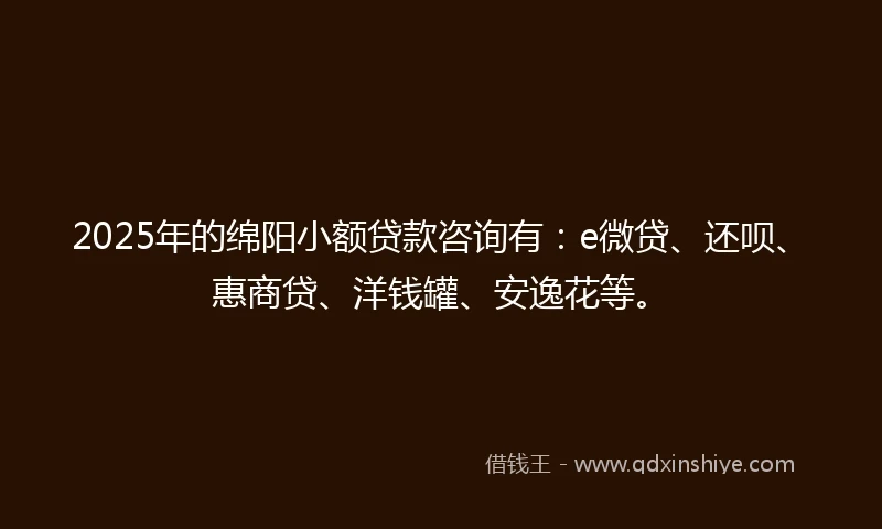 2025年的绵阳小额贷款咨询有：e微贷、还呗、惠商贷、洋钱罐、安逸花等。