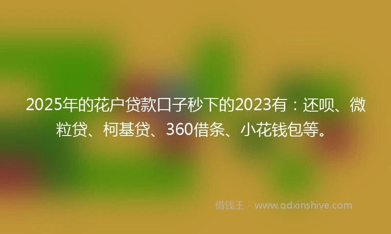 2025年的花户贷款口子秒下的2023有：还呗、微粒贷、柯基贷、360借条、小花钱包等。