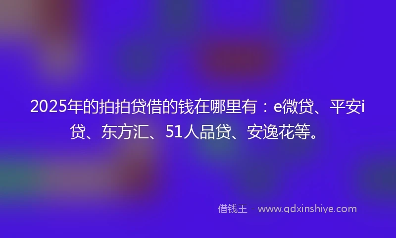 2025年的拍拍贷借的钱在哪里有：e微贷、平安i贷、东方汇、51人品贷、安逸花等。