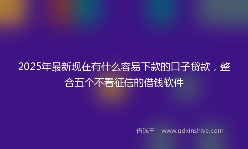 2025年最新现在有什么容易下款的口子贷款，整合五个不看征信的借钱软件