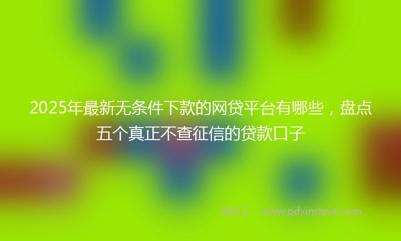 2025年最新无条件下款的网贷平台有哪些，盘点五个真正不查征信的贷款口子