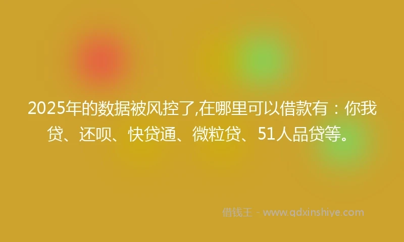 2025年的数据被风控了,在哪里可以借款有：你我贷、还呗、快贷通、微粒贷、51人品贷等。