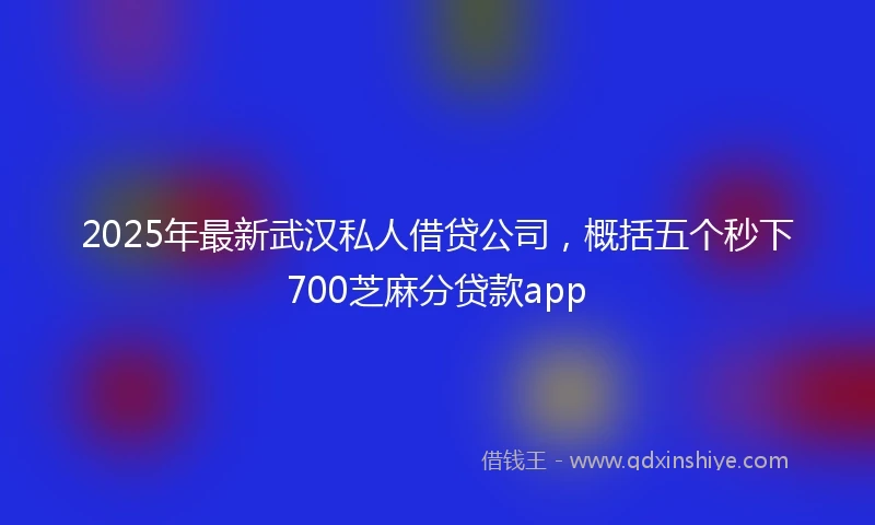 2025年最新武汉私人借贷公司，概括五个秒下700芝麻分贷款app