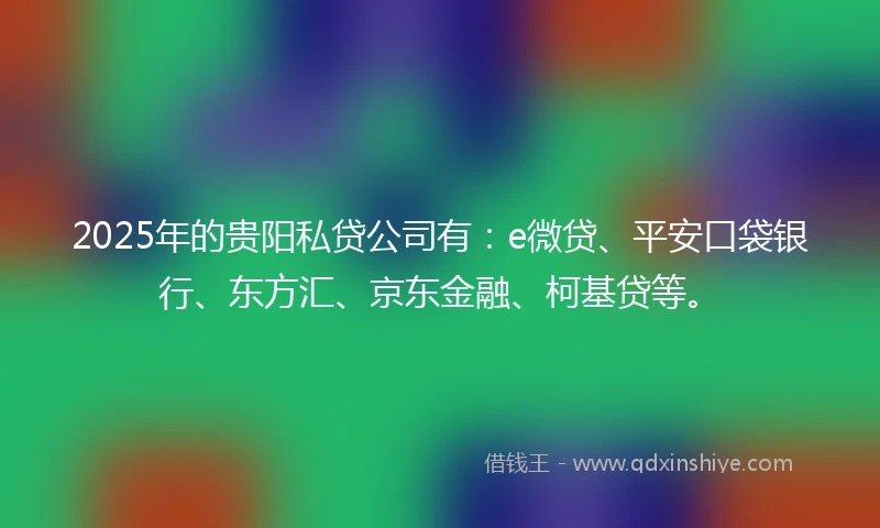2025年的贵阳私贷公司有：e微贷、平安口袋银行、东方汇、京东金融、柯基贷等。