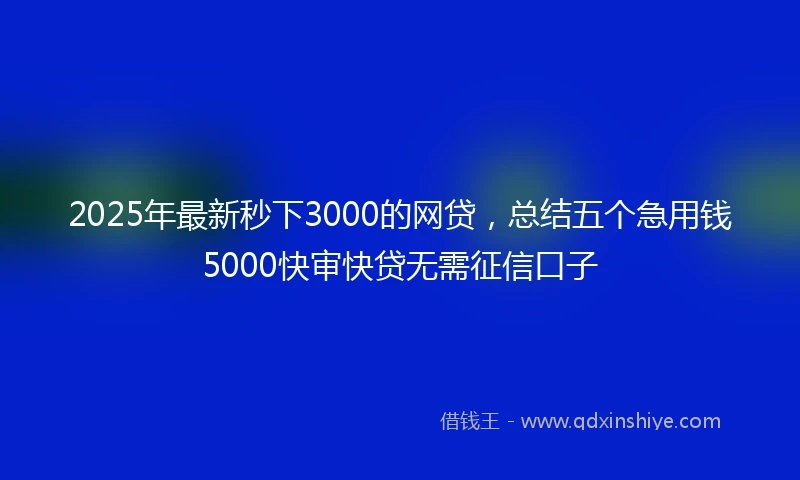 2025年最新秒下3000的网贷，总结五个急用钱5000快审快贷无需征信口子