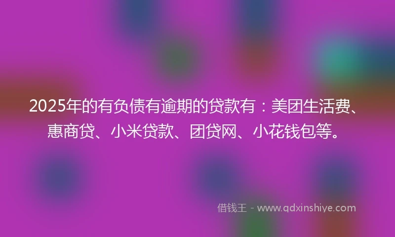 2025年的有负债有逾期的贷款有：美团生活费、惠商贷、小米贷款、团贷网、小花钱包等。