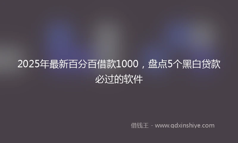 2025年最新百分百借款1000，盘点5个黑白贷款必过的软件