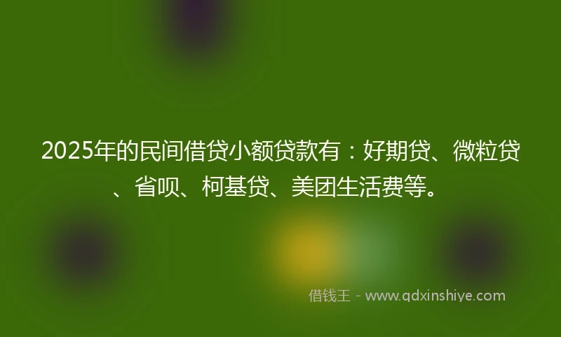 2025年的民间借贷小额贷款有：好期贷、微粒贷、省呗、柯基贷、美团生活费等。