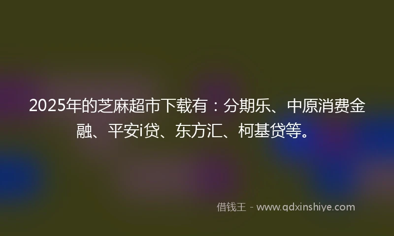 2025年的芝麻超市下载有：分期乐、中原消费金融、平安i贷、东方汇、柯基贷等。