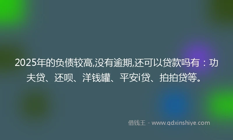 2025年的负债较高,没有逾期,还可以贷款吗有：功夫贷、还呗、洋钱罐、平安i贷、拍拍贷等。