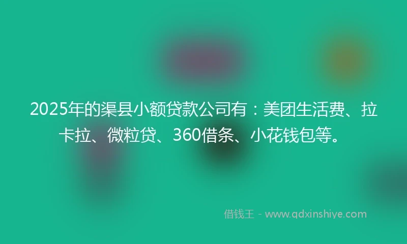 2025年的渠县小额贷款公司有：美团生活费、拉卡拉、微粒贷、360借条、小花钱包等。