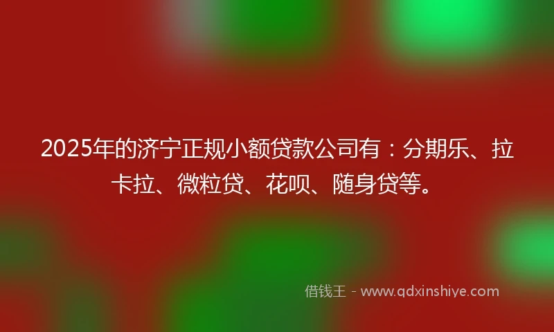 2025年的济宁正规小额贷款公司有：分期乐、拉卡拉、微粒贷、花呗、随身贷等。