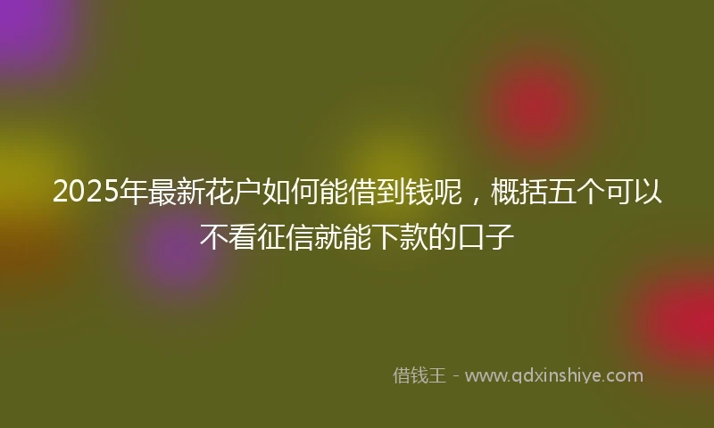 2025年最新花户如何能借到钱呢，概括五个可以不看征信就能下款的口子