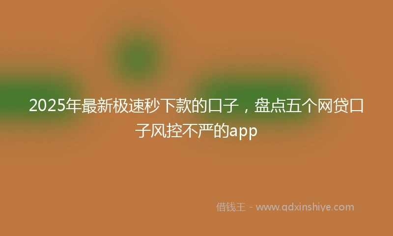 2025年最新极速秒下款的口子，盘点五个网贷口子风控不严的app