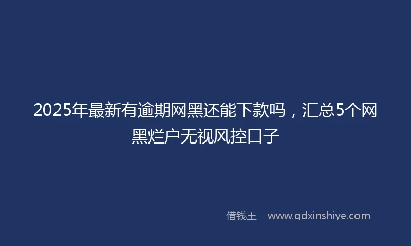 2025年最新有逾期网黑还能下款吗，汇总5个网黑烂户无视风控口子