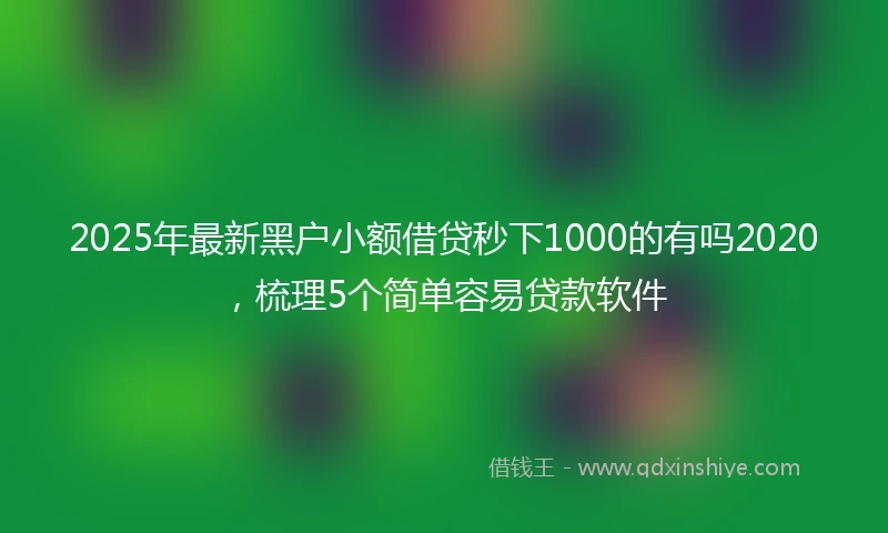 2025年最新黑户小额借贷秒下1000的有吗2020，梳理5个简单容易贷款软件