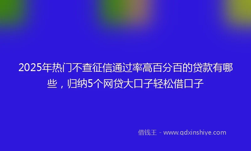 2025年热门不查征信通过率高百分百的贷款有哪些，归纳5个网贷大口子轻松借口子