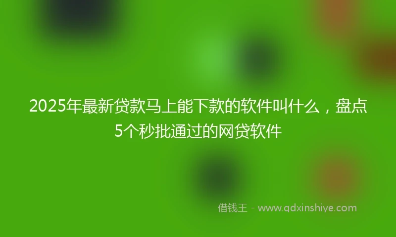 2025年最新贷款马上能下款的软件叫什么，盘点5个秒批通过的网贷软件