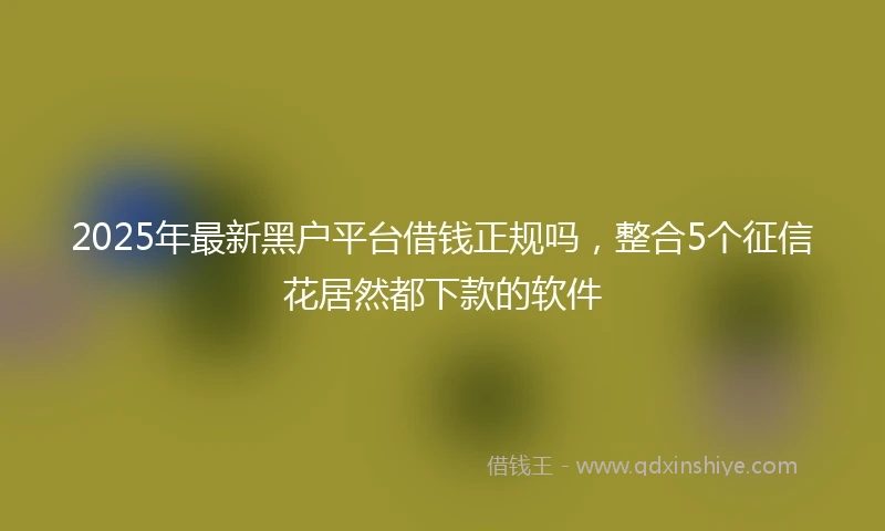 2025年最新黑户平台借钱正规吗，整合5个征信花居然都下款的软件