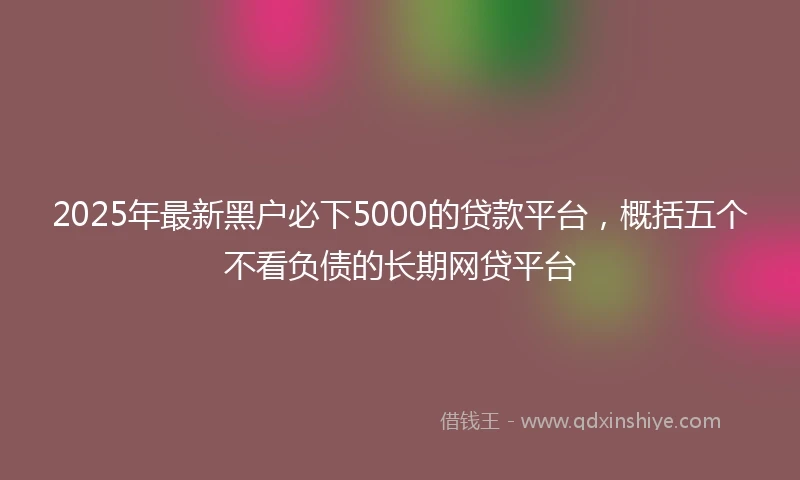 2025年最新黑户必下5000的贷款平台，概括五个不看负债的长期网贷平台