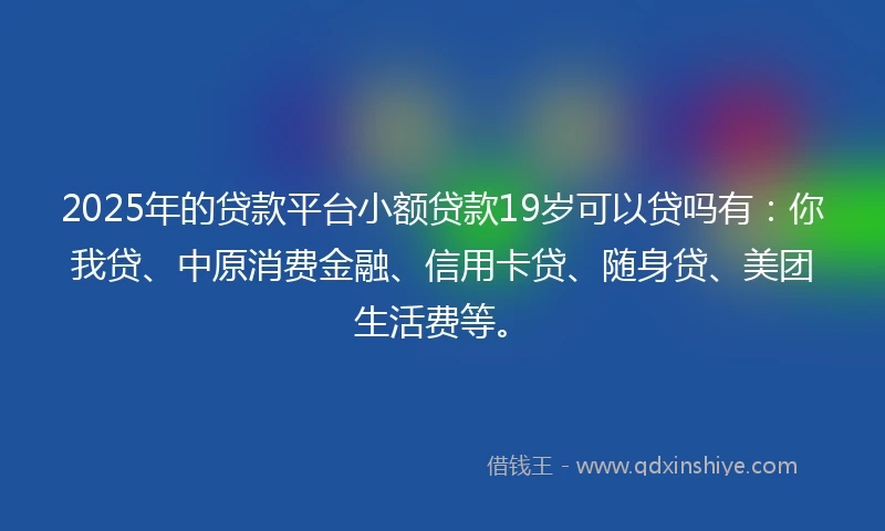 2025年的贷款平台小额贷款19岁可以贷吗有：你我贷、中原消费金融、信用卡贷、随身贷、美团生活费等。