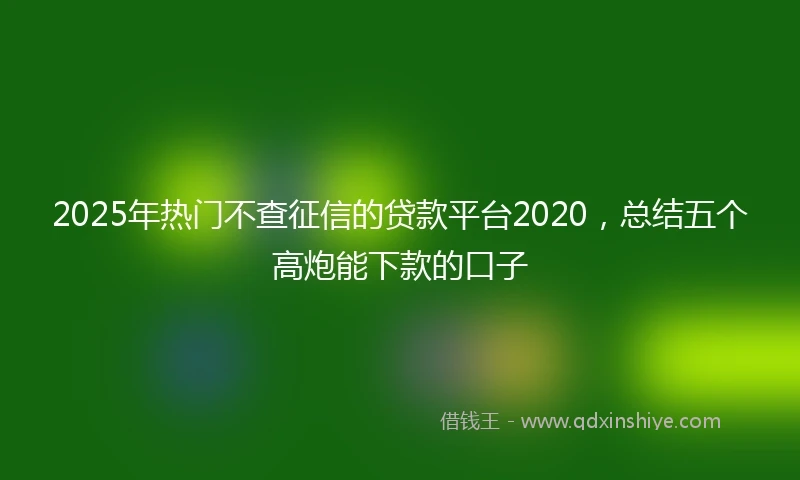2025年热门不查征信的贷款平台2020，总结五个高炮能下款的口子
