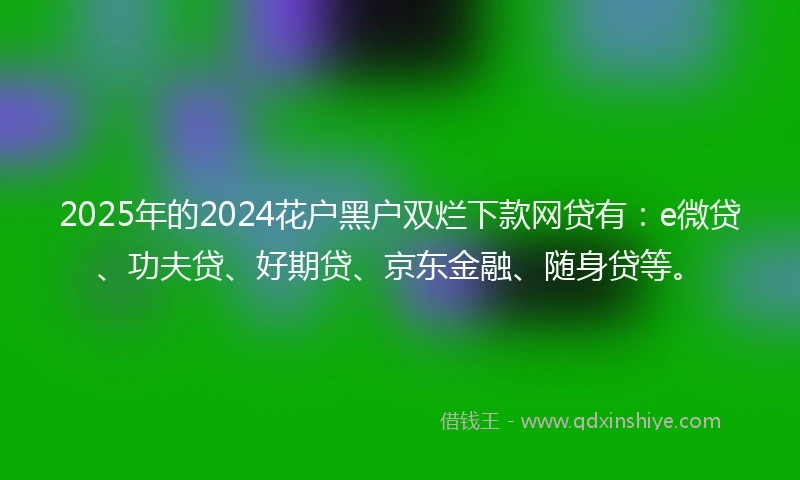 2025年的2024花户黑户双烂下款网贷有：e微贷、功夫贷、好期贷、京东金融、随身贷等。