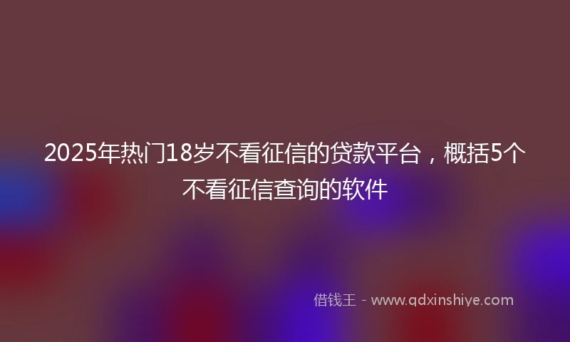 2025年热门18岁不看征信的贷款平台，概括5个不看征信查询的软件