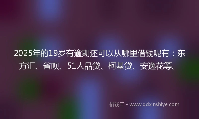 2025年的19岁有逾期还可以从哪里借钱呢有：东方汇、省呗、51人品贷、柯基贷、安逸花等。
