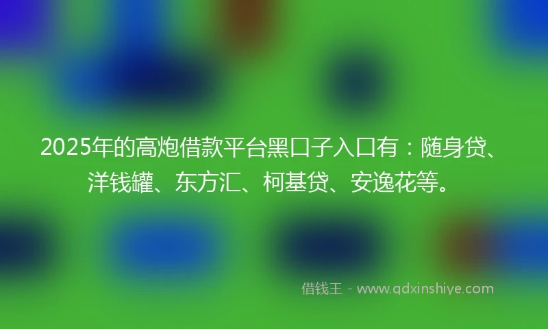 2025年的高炮借款平台黑口子入口有：随身贷、洋钱罐、东方汇、柯基贷、安逸花等。