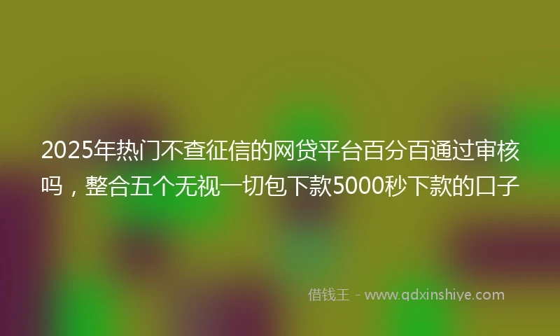 2025年热门不查征信的网贷平台百分百通过审核吗，整合五个无视一切包下款5000秒下款的口子