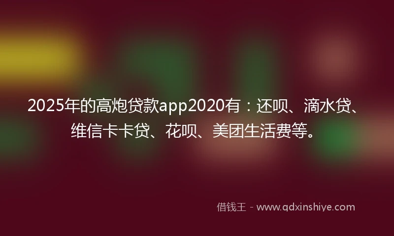 2025年的高炮贷款app2020有：还呗、滴水贷、维信卡卡贷、花呗、美团生活费等。