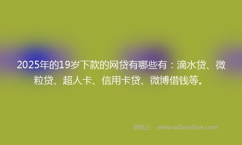 2025年的19岁下款的网贷有哪些有：滴水贷、微粒贷、超人卡、信用卡贷、微博借钱等。