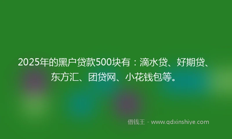 2025年的黑户贷款500块有：滴水贷、好期贷、东方汇、团贷网、小花钱包等。