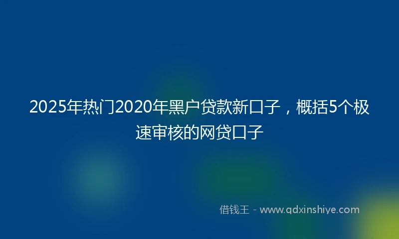 2025年热门2020年黑户贷款新口子，概括5个极速审核的网贷口子