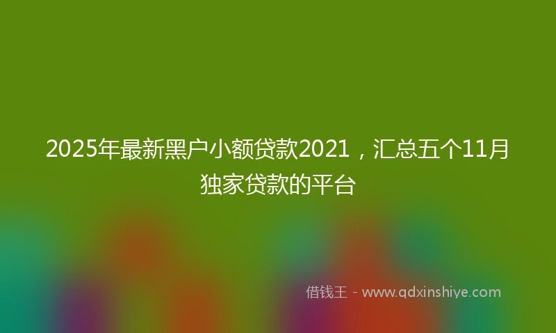 2025年最新黑户小额贷款2021，汇总五个11月独家贷款的平台