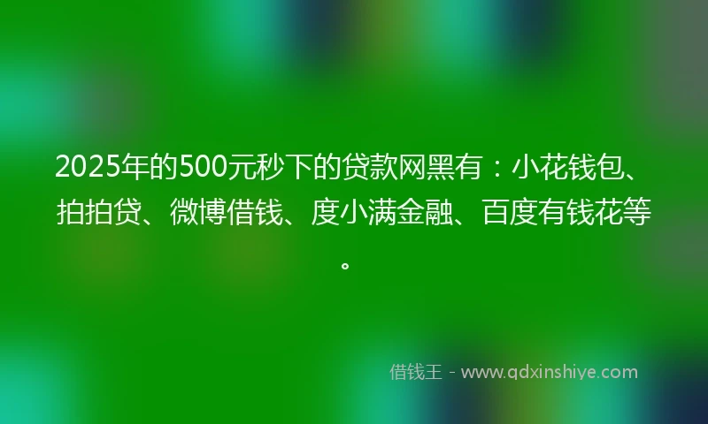 2025年的500元秒下的贷款网黑有：小花钱包、拍拍贷、微博借钱、度小满金融、百度有钱花等。