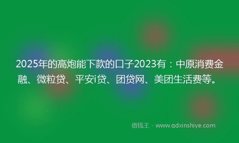 2025年的高炮能下款的口子2023有：中原消费金融、微粒贷、平安i贷、团贷网、美团生活费等。