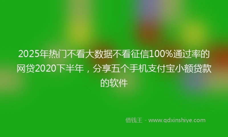 2025年热门不看大数据不看征信100%通过率的网贷2020下半年，分享五个手机支付宝小额贷款的软件