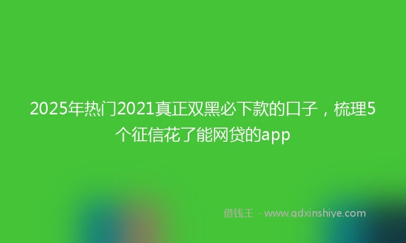 2025年热门2021真正双黑必下款的口子，梳理5个征信花了能网贷的app