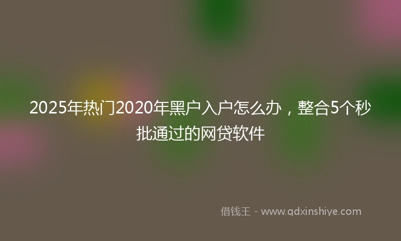 2025年热门2020年黑户入户怎么办，整合5个秒批通过的网贷软件
