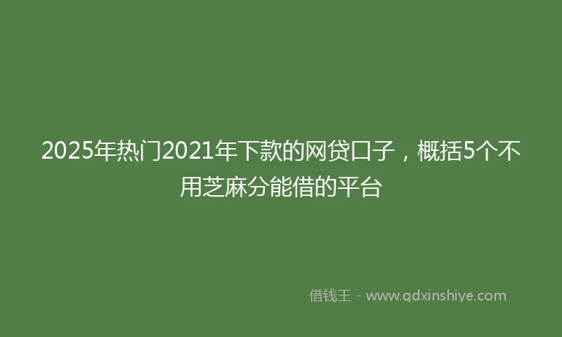 2025年热门2021年下款的网贷口子，概括5个不用芝麻分能借的平台