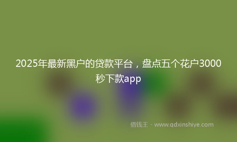 2025年最新黑户的贷款平台，盘点五个花户3000秒下款app