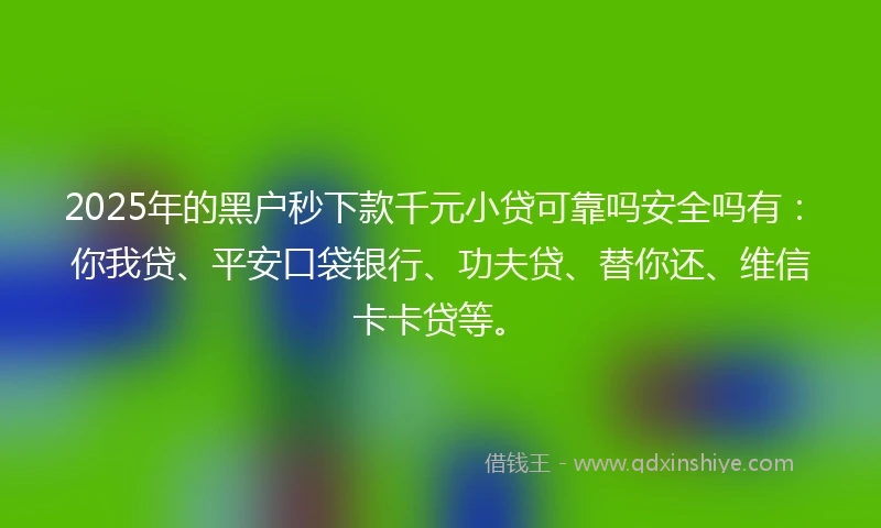 2025年的黑户秒下款千元小贷可靠吗安全吗有：你我贷、平安口袋银行、功夫贷、替你还、维信卡卡贷等。