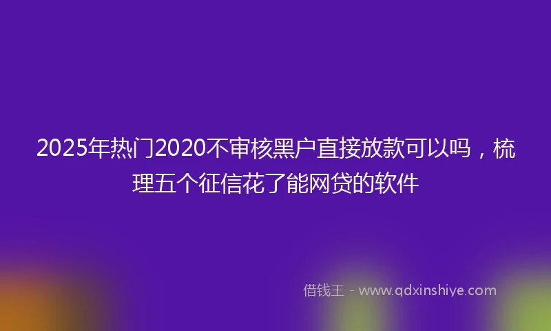 2025年热门2020不审核黑户直接放款可以吗，梳理五个征信花了能网贷的软件